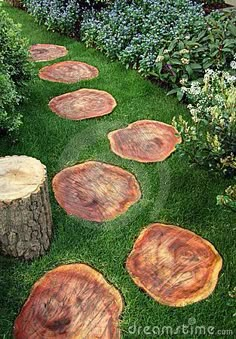 several pieces of wood sitting on top of green grass