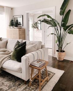 a living room filled with furniture and a potted plant