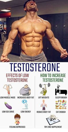 Increasing testosterone helps you build muscle faster, lose more body fat, increases your sex drive and gives you more mental clarity and focus. Why wouldn't you want to? Injecting yourself with test can be dangerous and you will need a prescription. Luckily there are natural ways to maximize this potent hormone. Click to learn more Ways To Increase Testosterone, Fitness Before After, Testosterone Boosting Foods, Survival Card, Trening Sztuk Walki, Increase Testosterone Levels, Muscle Abdominal, Boost Testosterone, Increase Testosterone