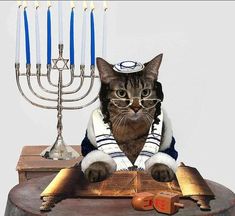 a cat sitting on top of a table next to a candelabra