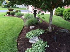 a garden area with grass, rocks and trees