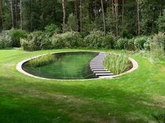 a small pond in the middle of a grassy area with steps leading up to it