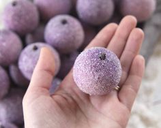 a hand holding a tiny purple object in front of some blueberrys on the ground