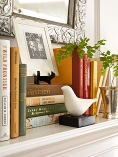 a white shelf topped with books and vases filled with plants next to a mirror