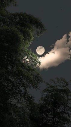 the moon is shining in the night sky with clouds and trees around it, as seen from below