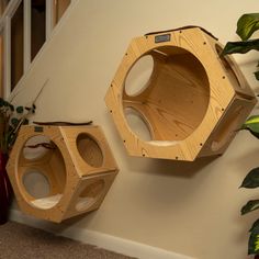 two wooden bird feeders hanging on the side of a wall next to a potted plant