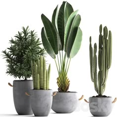 three cement planters with plants in them on a white background, one is green and the other is grey