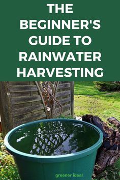 the beginner's guide to rainwater harvesting