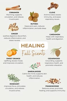 Healing fall scents, fall scents that heal, health and wellness, science of essentials, ginger Seasonal Witchcraft, Herb Room, Tea Remedies, Homemade Essential Oils, Simmer Pot, Fragrance Oil Blends, Essential Oils Herbs, Basic Witch, Alternative Healing