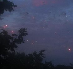 the sky is filled with fireflies as they fly through the night sky above some trees