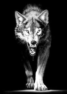 a black and white photo of a wolf in the dark