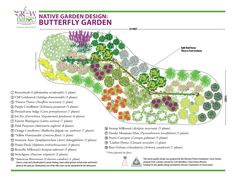 a garden design with lots of different flowers and plants in the center, along with an information map