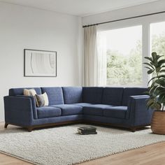 a living room with a blue sectional couch and potted plant on the floor next to it