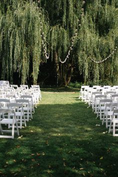 rows of white chairs are set up in front of a willow tree for an outdoor ceremony