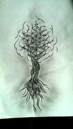 a drawing of a tree with roots on it