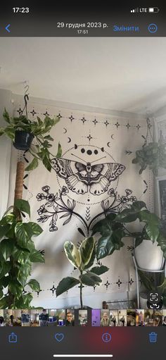 a room with plants and pictures on the wall