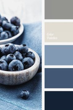 blueberries in a wooden bowl on a table with color swatches for the background