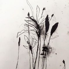 an ink drawing of leaves and twigs in black on white paper with watermarks