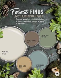 the forest finds paint palette is shown in various shades