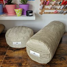 two bean bags sitting on top of a wooden floor next to potted plants and other items