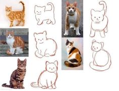 there are many different types of cats in the picture, but one is orange and white