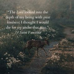 a deer walking down a dirt road with a quote from saint faustina on it