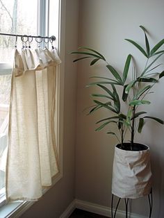 a potted plant sitting next to a window with curtains hanging from the windowsill