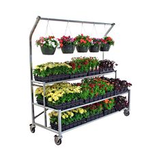 three tiered plant stand with potted plants and flowers on wheels, isolated against a white background