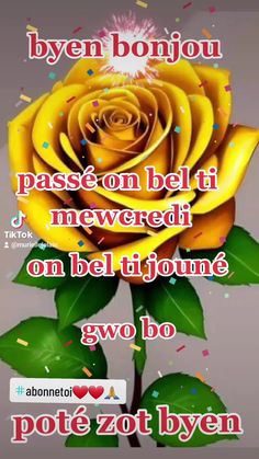 a yellow rose with confetti on it and the caption is in french