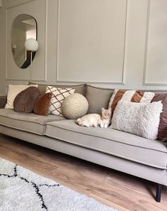 a cat laying on top of a couch in a living room next to a mirror