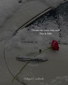 a red rose sitting on the hood of a car covered in snow with a quote above it