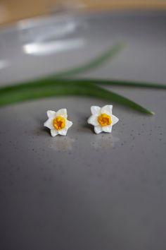 two small white flowers sitting on top of a gray table next to a green plant