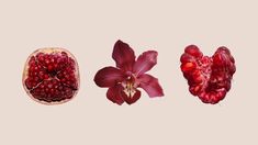 three different types of flowers and fruit on a white background, with one flower in the middle