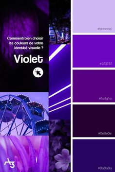 the color scheme for violet is shown in purple and black, with different shades to choose from