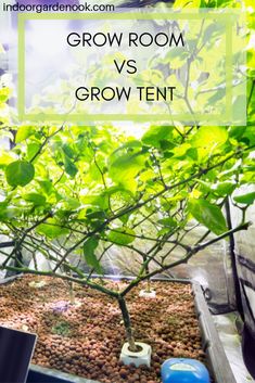 an indoor grow room with plants growing in it and the words grow room vs grow tent