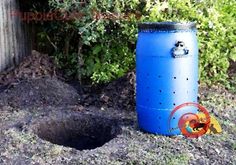 a blue trash can sitting in the dirt next to a fence and bushes with holes in it