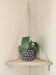 a potted plant sitting on top of a wooden shelf next to a white wall