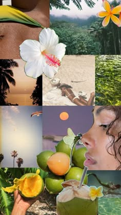 a collage of photos with flowers, coconuts and people