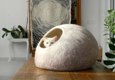 a white cat sitting in a grey ball shaped bed on top of a wooden table