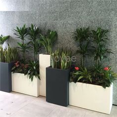 three planters are lined up against the wall