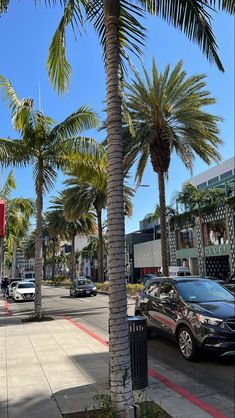 cars are parked on the street near palm trees