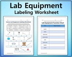 lab equipment labelling worksheet with the text lab equipment labeling worksheet