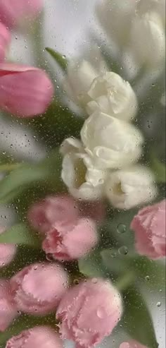 white and pink flowers are seen through the rain