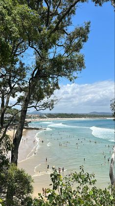 many people are swimming in the ocean and on the beach near some tree's