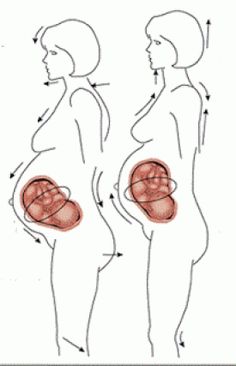 an image of a woman's stomach with the diagram showing her size and how it works