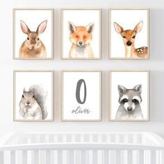 four pictures of animals are hanging on the wall in this baby's nursery room