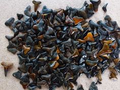 a pile of black and brown rocks sitting on top of a white floor