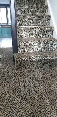 a set of stairs with leopard print carpet on the bottom, and an open door leading to another room