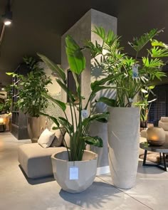 two large planters sitting next to each other on top of a table in a room