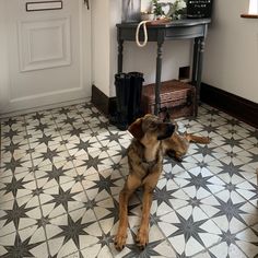 a dog laying on the floor in front of a table